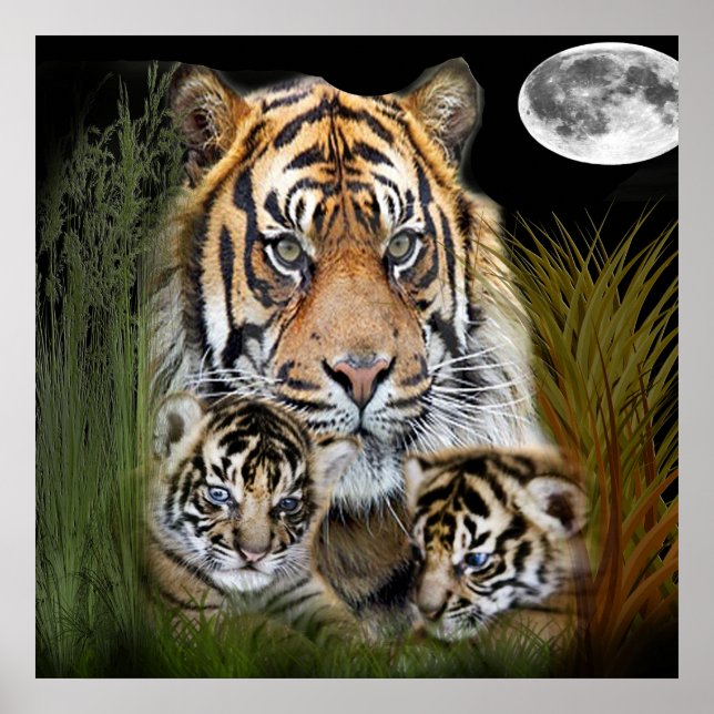 Tiger Poster (Vorne)