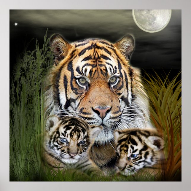 Tiger Poster (Vorne)