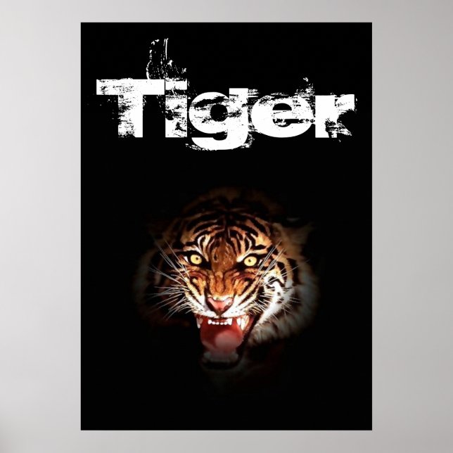 Tiger Poster (Vorne)