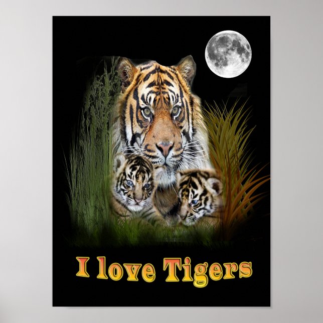 Tiger Poster (Vorne)
