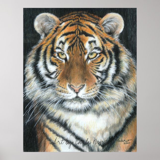Tiger Poster, Art von Carla Kurt Poster (Vorne)