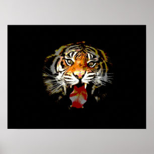 Tiger Poster Print - Pop Art Style Tigers Poster