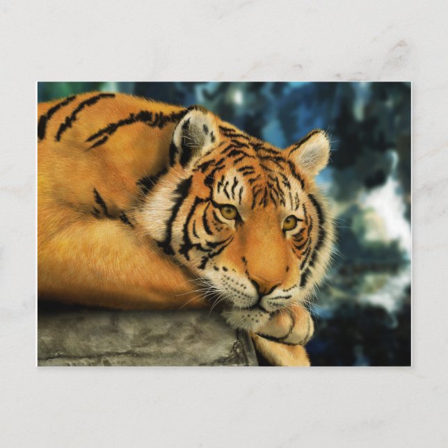 Tiger Postkarte (Vorderseite)