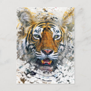 Tiger Postkarte