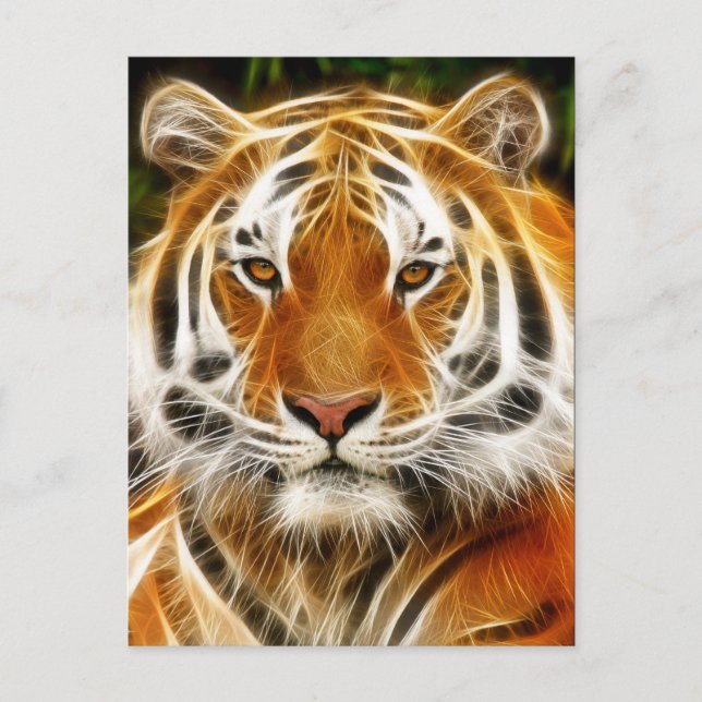Tiger-Postkarte Postkarte (Vorderseite)