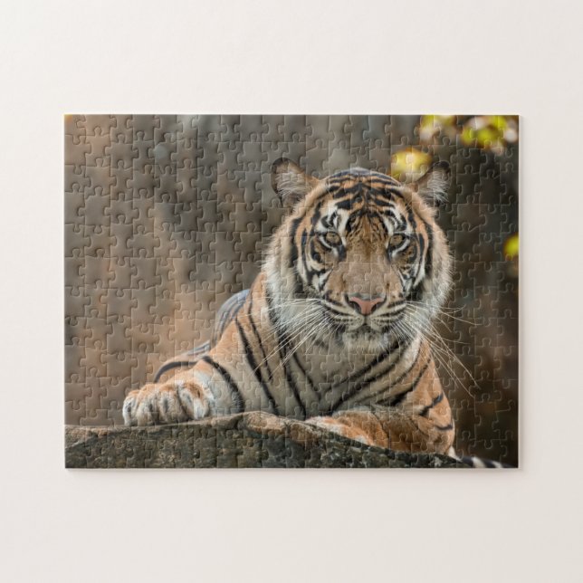 Tiger Puzzle (Horizontal)