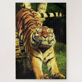 Tiger Puzzle