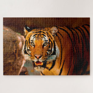Tiger Puzzle