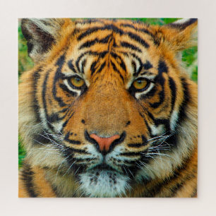 Tiger Puzzle