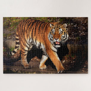 Tiger Puzzle
