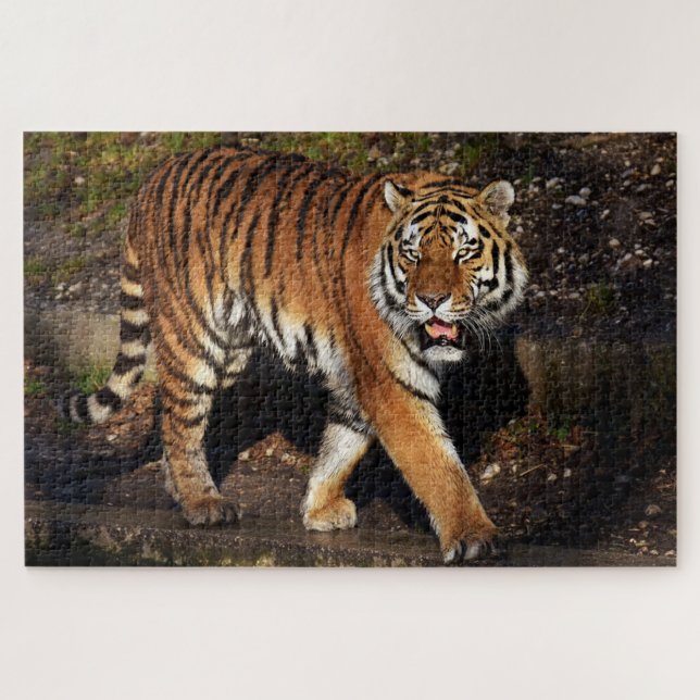 Tiger Puzzle (Horizontal)
