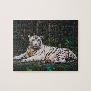 Tiger-Puzzle Puzzle
