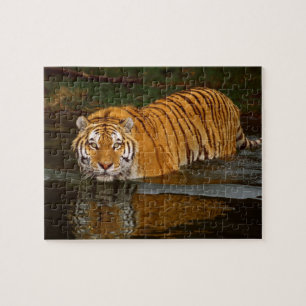 Tiger-Puzzlespiel Puzzle