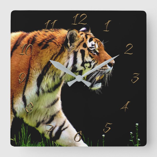 Tiger Quadratische Wanduhr (Vorderseite)
