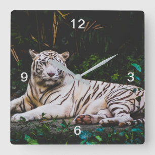 Tiger Quadratische Wanduhr