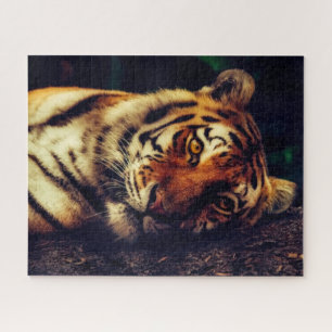 Tiger-Rätsel Puzzle