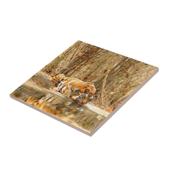 Tiger Reflektion Fliese (Seite)