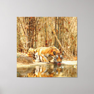 Tiger Reflektion Leinwanddruck