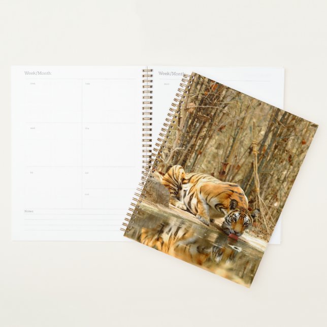 Tiger Reflektion Planer (Anzeige)