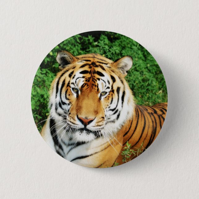 Tiger Relaxing Button (Vorderseite)