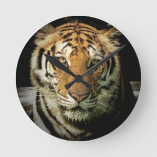 Tiger Runde Wanduhr