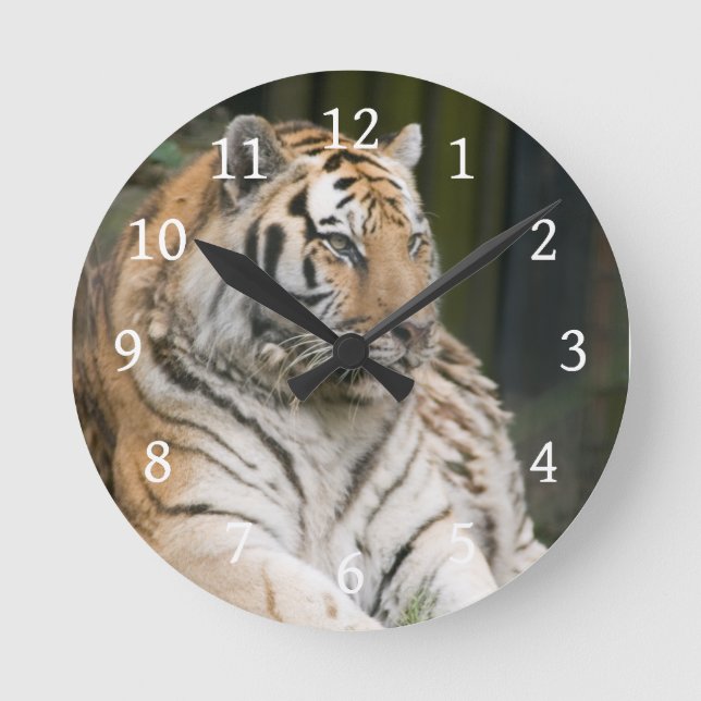 Tiger Runde Wanduhr (Vorderseite)