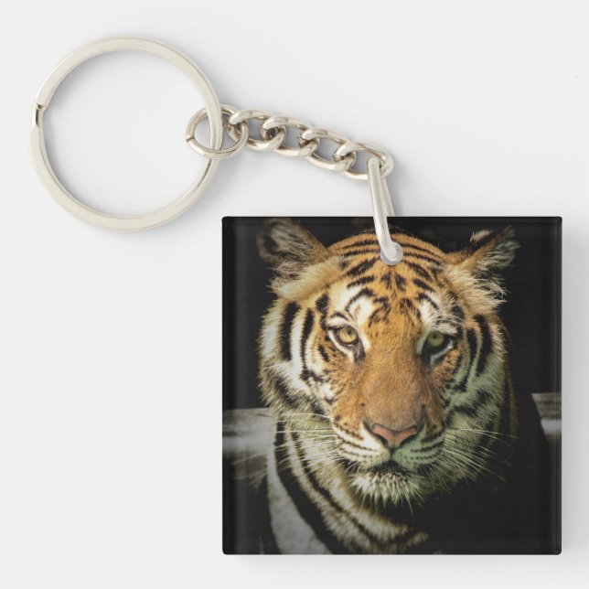 Tiger Schlüsselanhänger (Vorderseite)