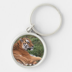 Tiger Schlüsselanhänger