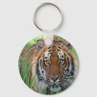 Tiger Schlüsselanhänger