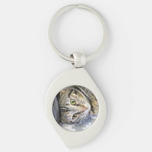 Tiger Schlüsselanhänger (Vorderseite)