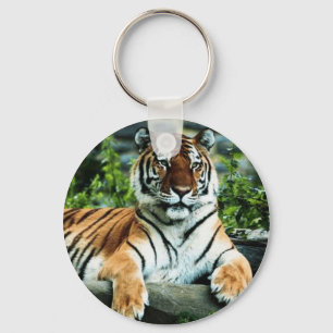 Tiger-Schlüsselanhänger Schlüsselanhänger
