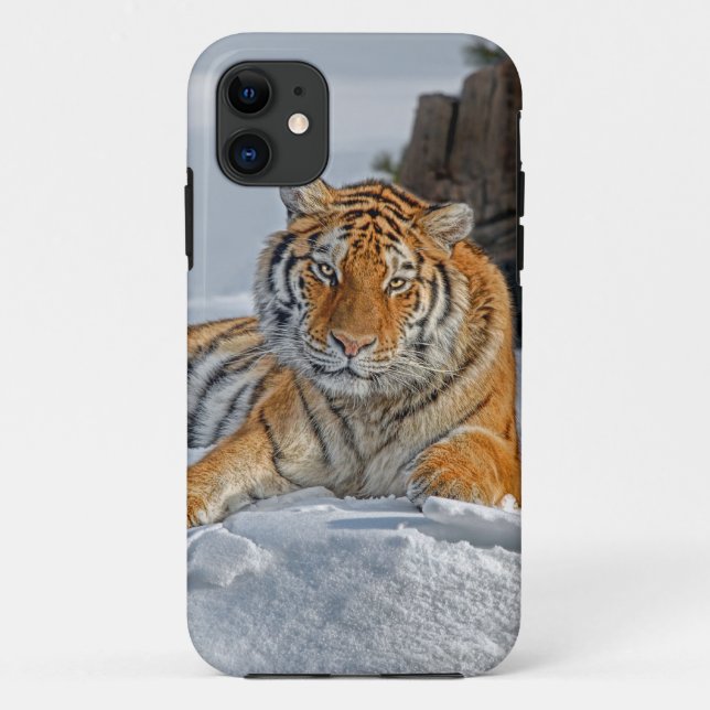 Tiger-Schnee-Porträt Case-Mate iPhone Hülle (Rückseite)