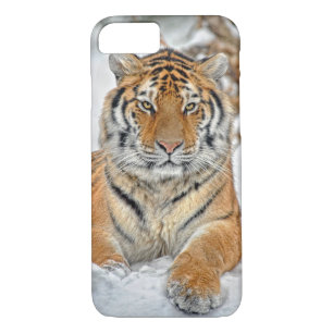 Tiger-Schönheit im Schnee Case-Mate iPhone Hülle