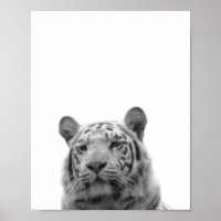Tiger Schwarz-weiß Cabin Kinderzimmer Foto Plakat