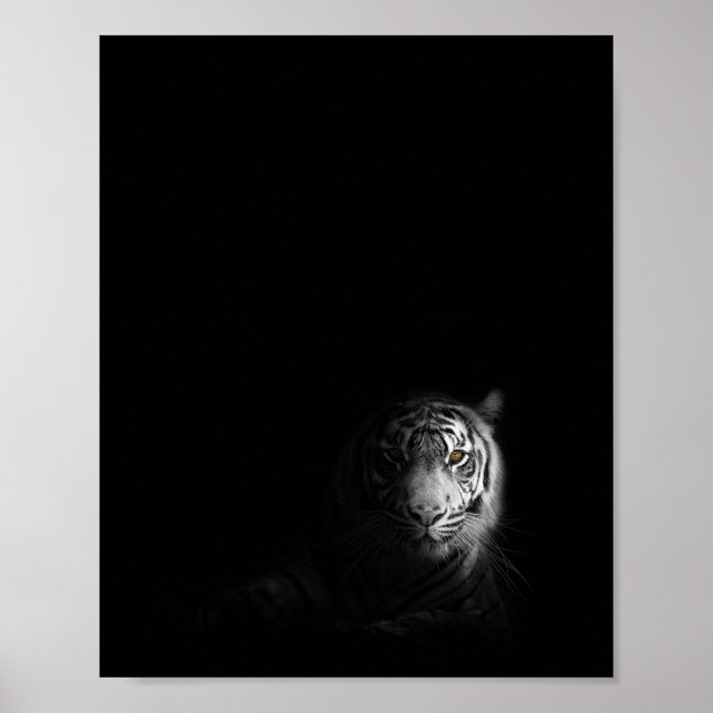 Tiger, Schwarz-Weiß-Foto, Poster (Vorne)