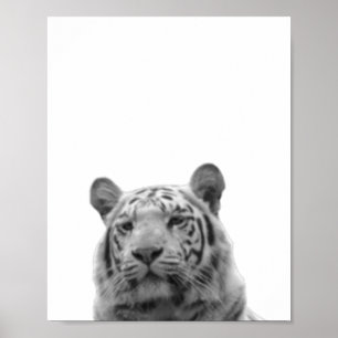 Tiger Schwarz Weiß  Kinderzimmer Foto Poster