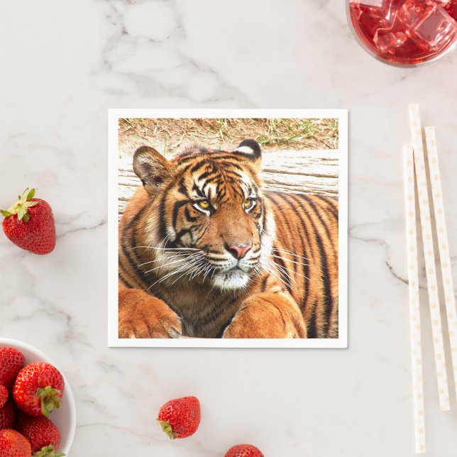 Tiger Serviette (Beispiel)