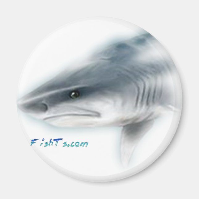 Tiger Shark Head Magnet (Vorne)