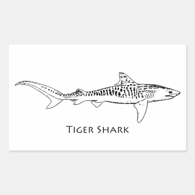 Tiger Shark Illustration Rechteckiger Aufkleber (Vorderseite)