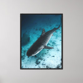 Tiger Shark Underwater Ocean Wildlife Leinwand Wal