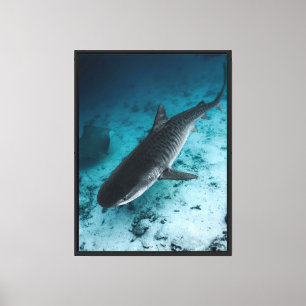 Tiger Shark Underwater Ocean Wildlife Leinwand Wal