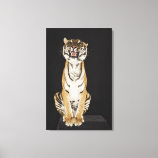 Tiger sitzend auf Plattform 2 Leinwanddruck