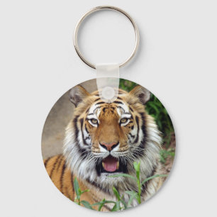 Tiger Smile Schlüsselanhänger