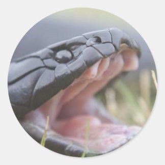 Tiger Snake Runder Aufkleber