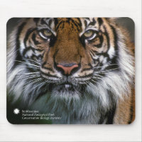 Tiger Soyono Smithsonian | Sumatran