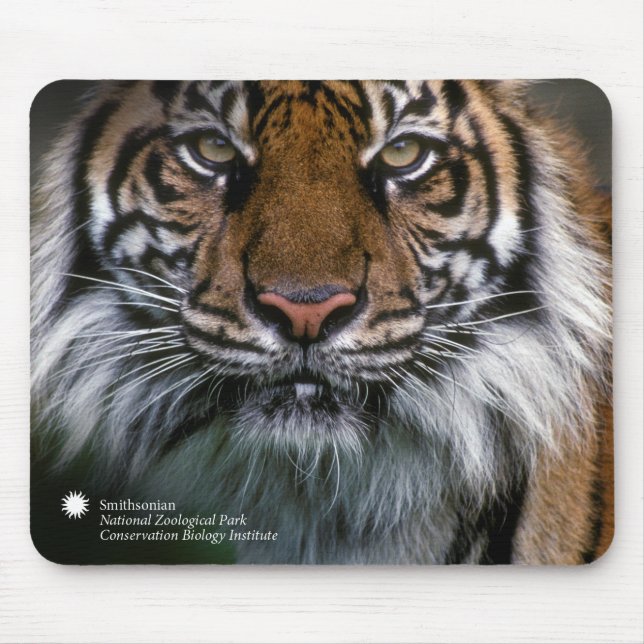 Tiger Soyono Smithsonian | Sumatran Mousepad (Vorne)