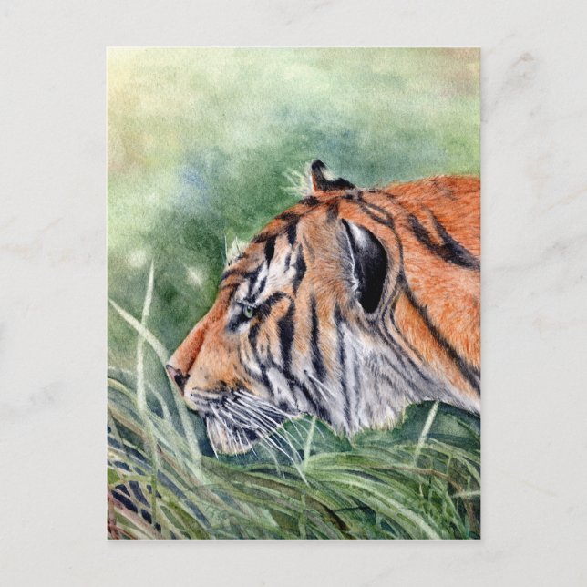 Tiger Spaziergang durch Dschungel Postkarte (Vorderseite)