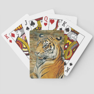Tiger Spielkarten