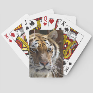 Tiger Spielkarten