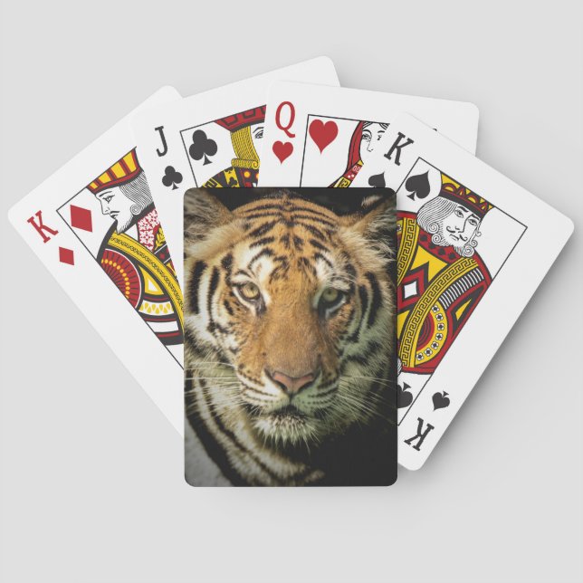 Tiger Spielkarten (Rückseite)